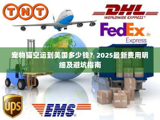 宠物猫空运到美国多少钱？2025最新费用明细及避坑指南