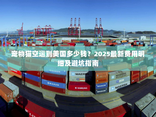 宠物猫空运到美国多少钱？2025最新费用明细及避坑指南