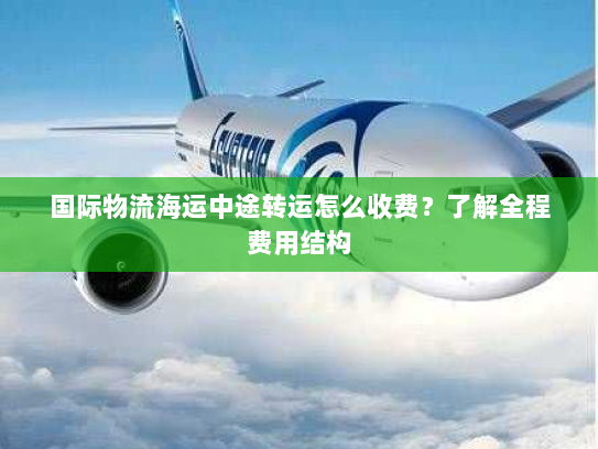 国际物流海运中途转运怎么收费？了解全程费用结构
