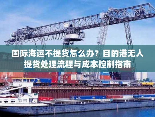 国际海运不提货怎么办？目的港无人提货处理流程与成本控制指南