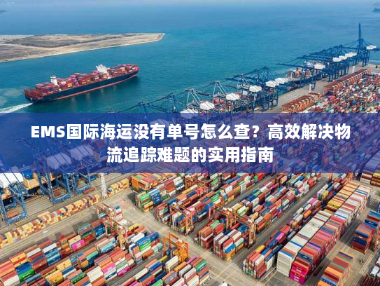 EMS国际海运没有单号怎么查?高效解决物流追踪难题的实用指南 EMS国际海运没有单号怎么查?高效解决物流追踪难题的实用指南