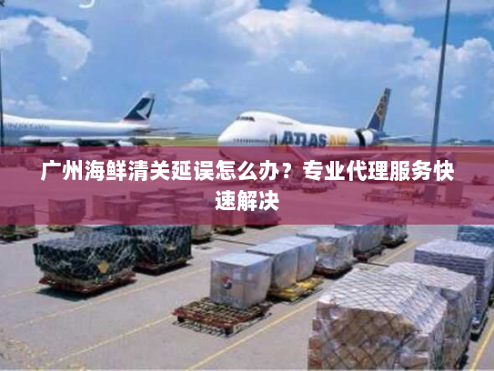 广州海鲜清关延误怎么办?专业代理服务快速解决 广州海鲜清关延误怎么办?专业代理服务快速解决