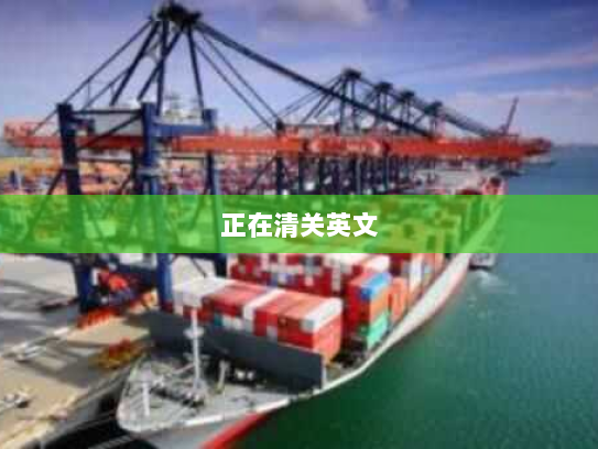 正在清关英文