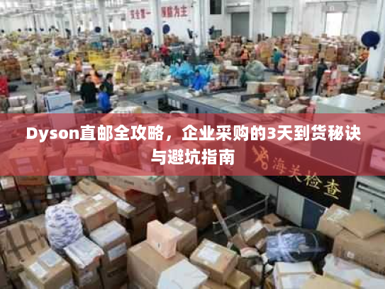 Dyson直邮全攻略，企业采购的3天到货秘诀与避坑指南