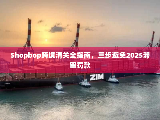 Shopbop跨境清关全指南,三步避免2025滞留罚款 Shopbop跨境清关全指南,三步避免2025滞留罚款