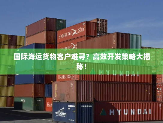 国际海运货物客户难寻?高效开发策略大揭秘! 国际海运货物客户难寻?高效开发策略大揭秘!