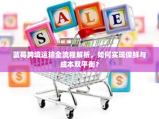 蓝莓跨境运输全流程解析,如何实现保鲜与成本双平衡? 蓝莓跨境运输全流程解析,如何实现保鲜与成本双平衡?