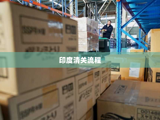 印度清关流程 印度清关流程