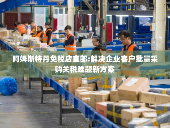 阿姆斯特丹免税店直邮:解决企业客户批量采购关税难题新方案