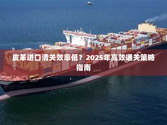 皮革进口清关效率低?2025年高效通关策略指南 皮革进口清关效率低?2025年高效通关策略指南
