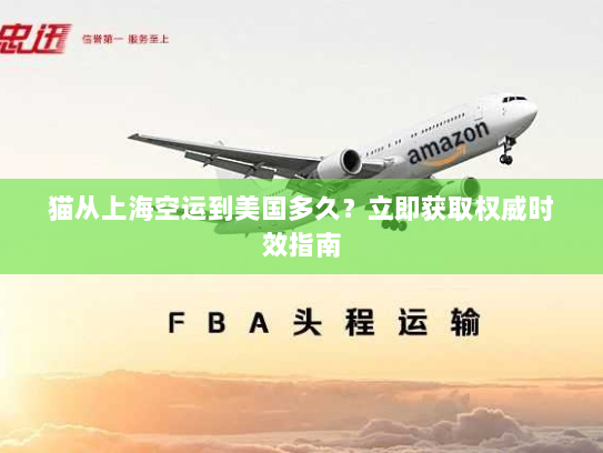 猫从上海空运到美国多久?立即获取权威时效指南 猫从上海空运到美国多久?立即获取权威时效指南