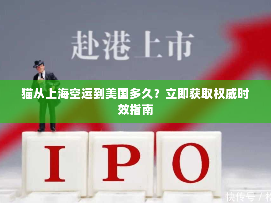 猫从上海空运到美国多久?立即获取权威时效指南 猫从上海空运到美国多久?立即获取权威时效指南