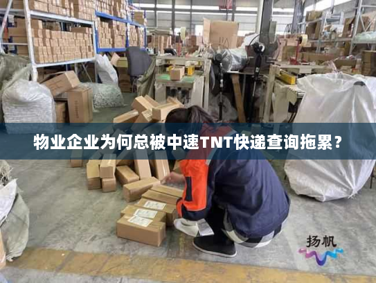物业企业为何总被中速TNT快递查询拖累? 物业企业为何总被中速TNT快递查询拖累?