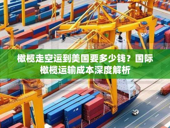 橄榄走空运到美国要多少钱？国际橄榄运输成本深度解析