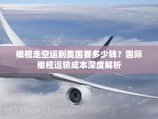 橄榄走空运到美国要多少钱？国际橄榄运输成本深度解析