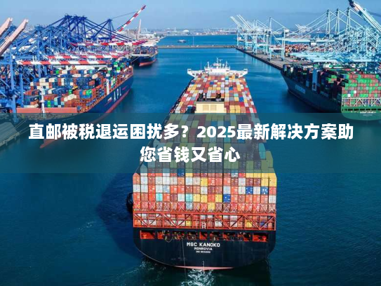 直邮被税退运困扰多?2025最新解决方案助您省钱又省心 直邮被税退运困扰多?2025最新解决方案助您省钱又省心