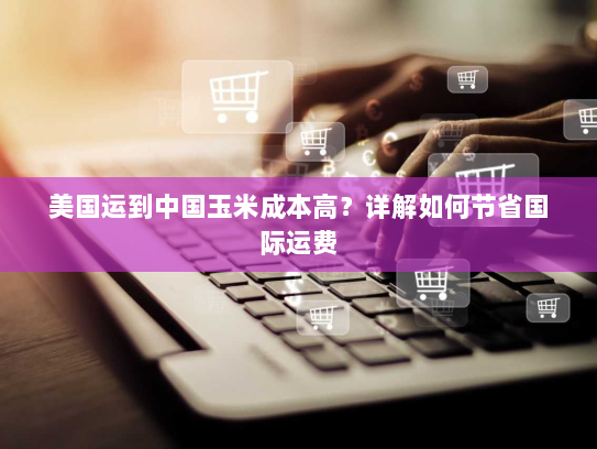 美国运到中国玉米成本高？详解如何节省国际运费