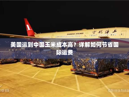 美国运到中国玉米成本高？详解如何节省国际运费