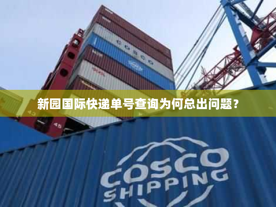 新园国际快递单号查询为何总出问题? 新园国际快递单号查询为何总出问题?