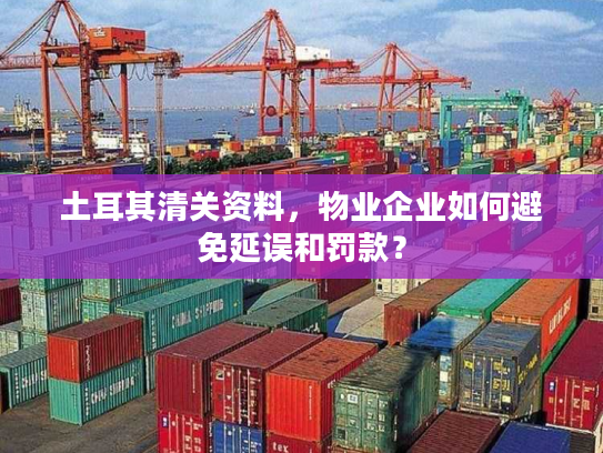 土耳其清关资料，物业企业如何避免延误和罚款？