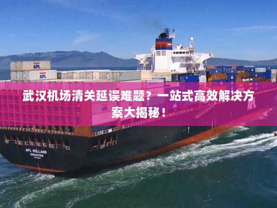 武汉机场清关延误难题？一站式高效解决方案大揭秘！