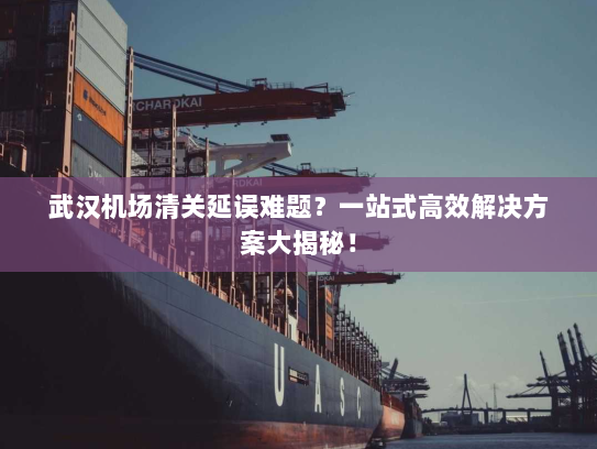 武汉机场清关延误难题?一站式高效解决方案大揭秘! 武汉机场清关延误难题?一站式高效解决方案大揭秘!