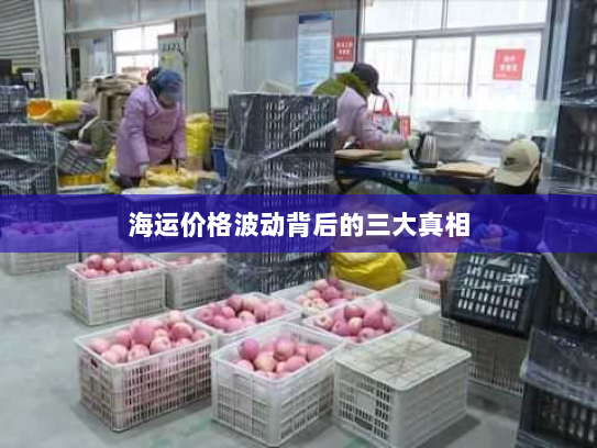 海运价格波动背后的三大真相 海运价格波动背后的三大真相