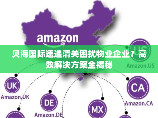 贝海国际速递清关困扰物业企业？高效解决方案全揭秘