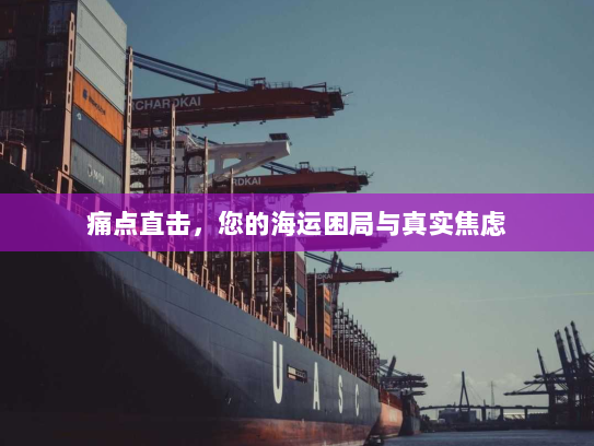 痛点直击，您的海运困局与真实焦虑