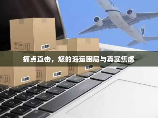 痛点直击，您的海运困局与真实焦虑