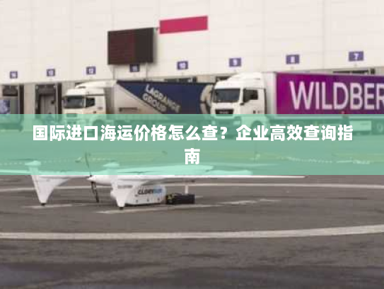 国际进口海运价格怎么查？企业高效查询指南