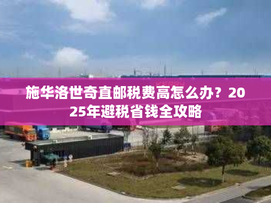 施华洛世奇直邮税费高怎么办？2025年避税省钱全攻略
