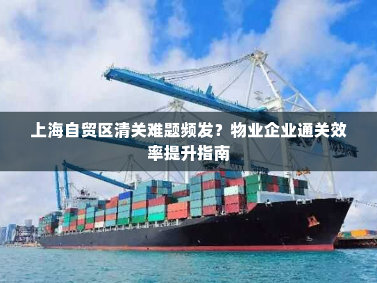 上海自贸区清关难题频发？物业企业通关效率提升指南