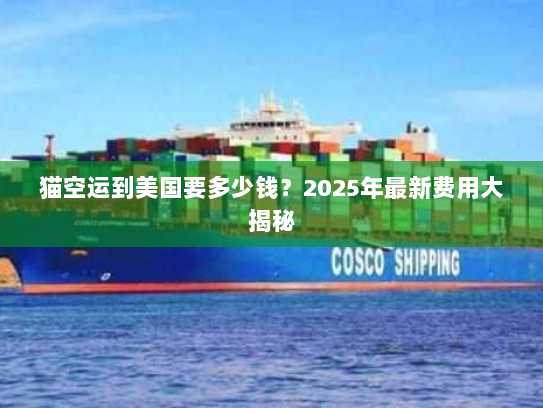 猫空运到美国要多少钱?2025年最新费用大揭秘 猫空运到美国要多少钱?2025年最新费用大揭秘