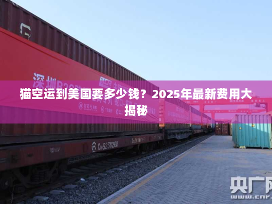 猫空运到美国要多少钱?2025年最新费用大揭秘 猫空运到美国要多少钱?2025年最新费用大揭秘