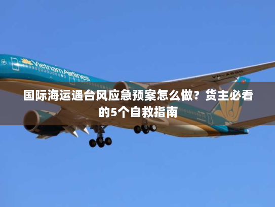 国际海运遇台风应急预案怎么做？货主必看的5个自救指南