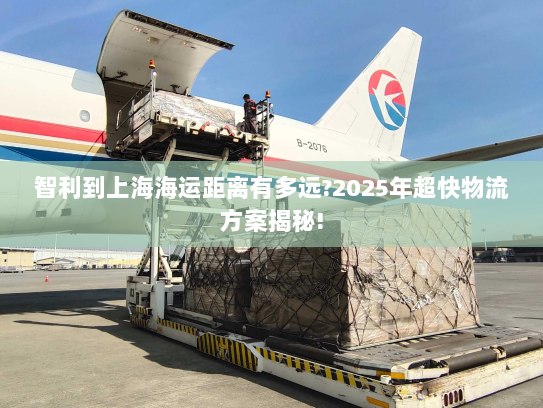 智利到上海海运距离有多远?2025年超快物流方案揭秘!