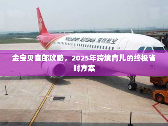 金宝贝直邮攻略，2025年跨境育儿的终极省时方案