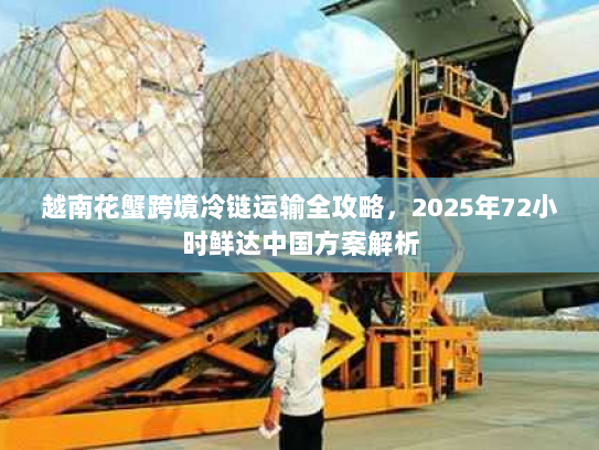 越南花蟹跨境冷链运输全攻略，2025年72小时鲜达中国方案解析