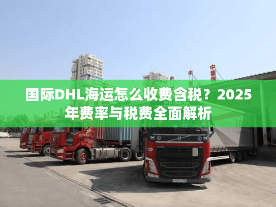 国际DHL海运怎么收费含税？2025年费率与税费全面解析
