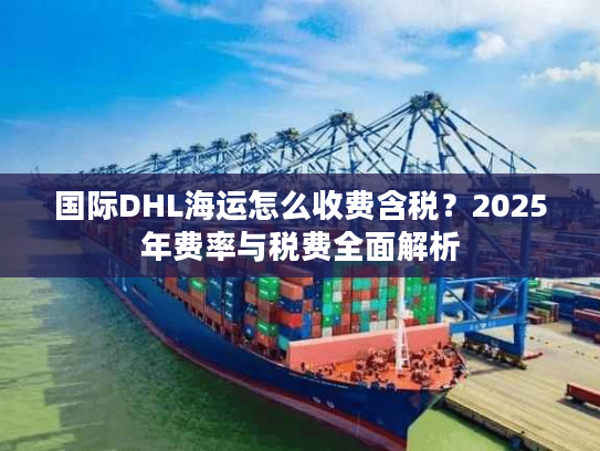 国际DHL海运怎么收费含税？2025年费率与税费全面解析