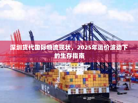 深圳货代国际物流现状,2025年运价波动下的生存指南 深圳货代国际物流现状,2025年运价波动下的生存指南