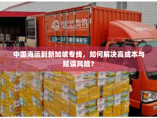 中国海运到新加坡专线，如何解决高成本与延误风险？