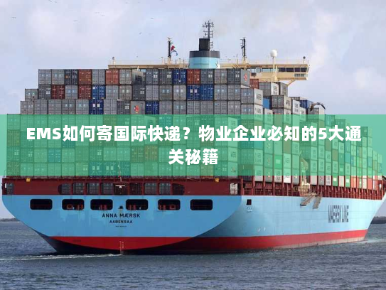 EMS如何寄国际快递？物业企业必知的5大通关秘籍