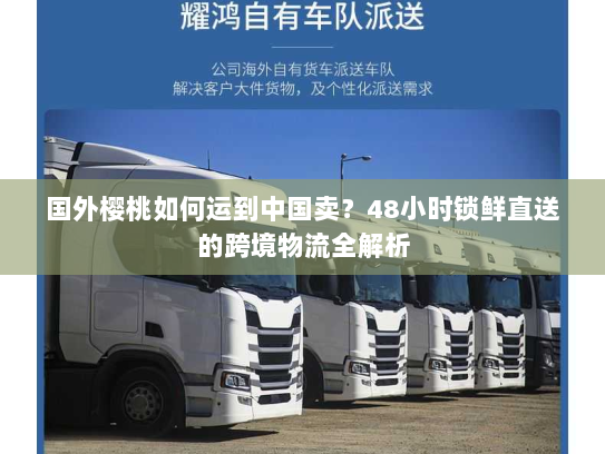 国外樱桃如何运到中国卖?48小时锁鲜直送的跨境物流全解析 国外樱桃如何运到中国卖?48小时锁鲜直送的跨境物流全解析