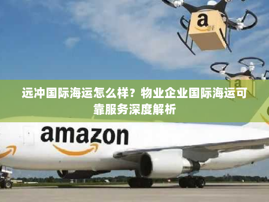 远冲国际海运怎么样？物业企业国际海运可靠服务深度解析