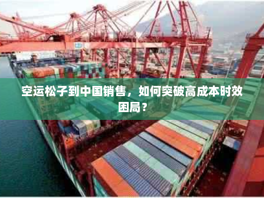 空运松子到中国销售,如何突破高成本时效困局? 空运松子到中国销售,如何突破高成本时效困局?