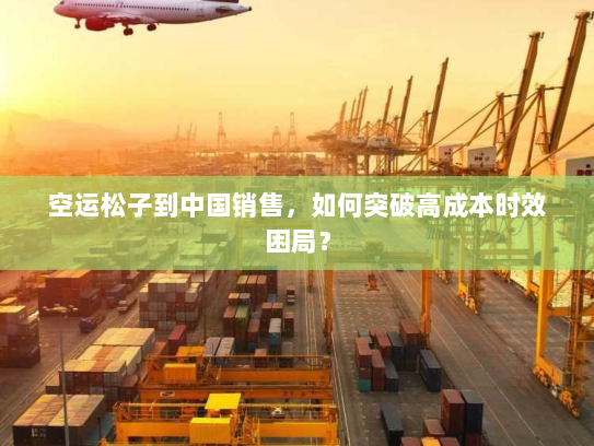 空运松子到中国销售,如何突破高成本时效困局? 空运松子到中国销售,如何突破高成本时效困局?