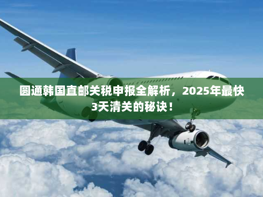 圆通韩国直邮关税申报全解析,2025年最快3天清关的秘诀! 圆通韩国直邮关税申报全解析,2025年最快3天清关的秘诀!
