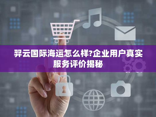 羿云国际海运怎么样?企业用户真实服务评价揭秘
